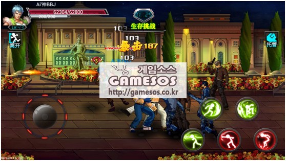 9554267.jpg